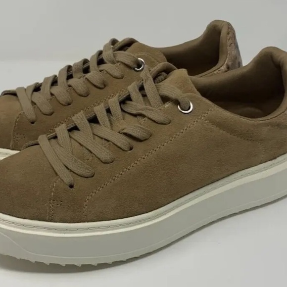 Steve Madden Charlie sneaker - Picture 3 of 6